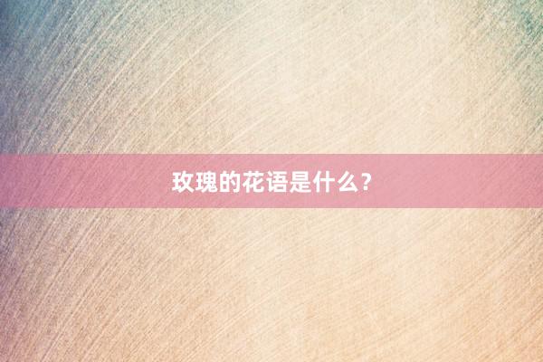 玫瑰的花语是什么？